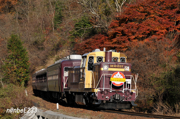 8722ﾚ　「トロッコわたらせ渓谷4号」　DE101537+わ99x4B