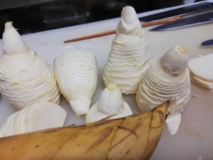 0AAA0354-0DFB-4A2A-8619-B989F9771929