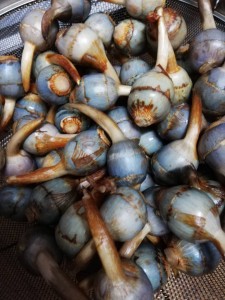 B2BA894C-DA2B-43D6-9597-B11CC6C34C89