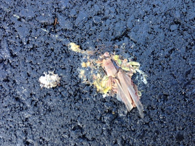 かまきりひき逃げ現場２