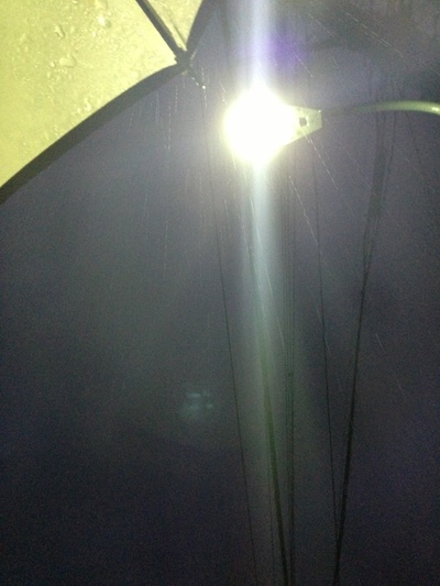 街灯に照らされた雨を見上げる