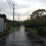 西へと続く道(朝)