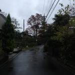 東へと続く道(朝)