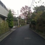 東へと続く道（夕方）