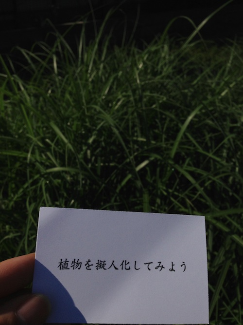 植物を擬人化してみようカード
