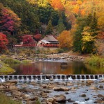 香嵐渓の紅葉08