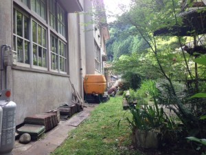 居心地ツアー：猫