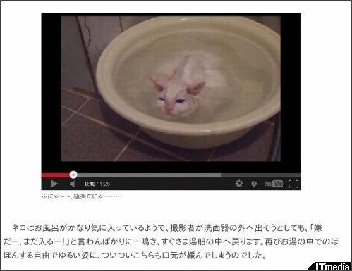 http://nlab.itmedia.co.jp/nl/articles/1306/16/news006.html