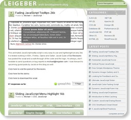 Web Development Blog http://www.leigeber.com/