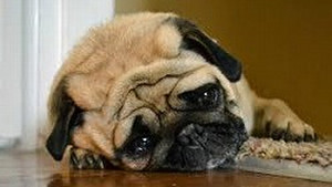 Hikannteki Hikannteki