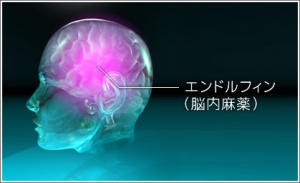Nounai_1