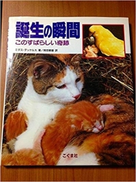 Tanjou2