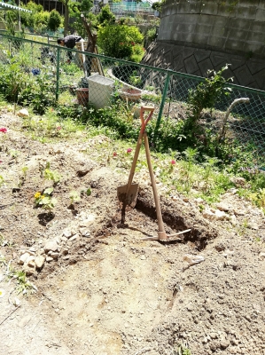 Turuhasi