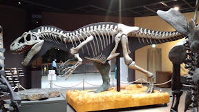 DVC00009.JPG