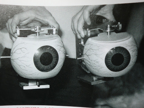 CIMG3346.JPG