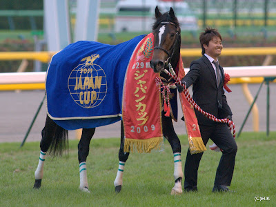 ウオッカが牝馬初のgi7勝目 ジャパンカップ やっぱり馬が好き