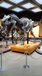 DVC00011.JPG