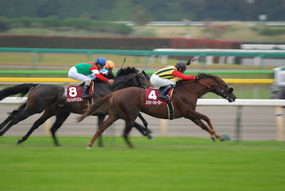 ジョッキーマスターズとオグリキャップとアルゼンチン共和国杯 やっぱり馬が好き