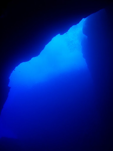 クリックすると新しいウィンドウで開きます