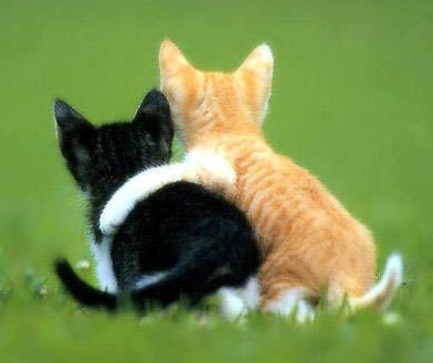 How long does marijuana stay in your system?