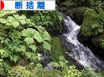 にほんブログ村 その他生活ブログ 断捨離へ