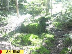 にほんブログ村 その他生活ブログ 人生相談へ