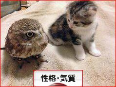 にほんブログ村 その他生活ブログ 性格・気質へ