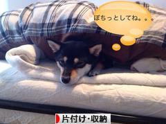 にほんブログ村 その他生活ブログ 片付け・収納（個人）へ