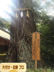 にほんブログ村 その他生活ブログ 片付け・収納（プロ・アドバイザー）へ