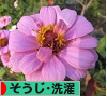 にほんブログ村 その他生活ブログ そうじ・洗濯へ