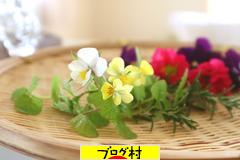 にほんブログ村 その他生活ブログ 掃除・洗濯へ