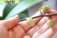 にほんブログ村 その他生活ブログ 掃除・洗濯へ