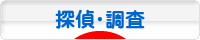 にほんブログ村 その他生活ブログ 探偵・調査へ