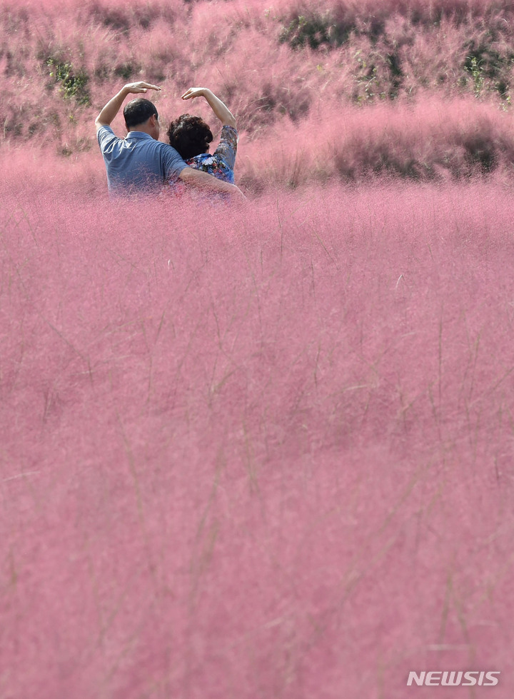 「ミューレンベルギアの中で」