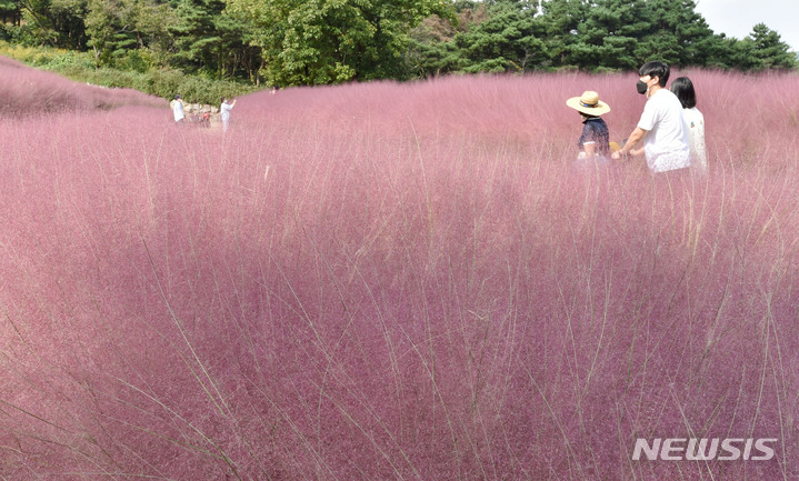 「ミューレンベルギアの中で」