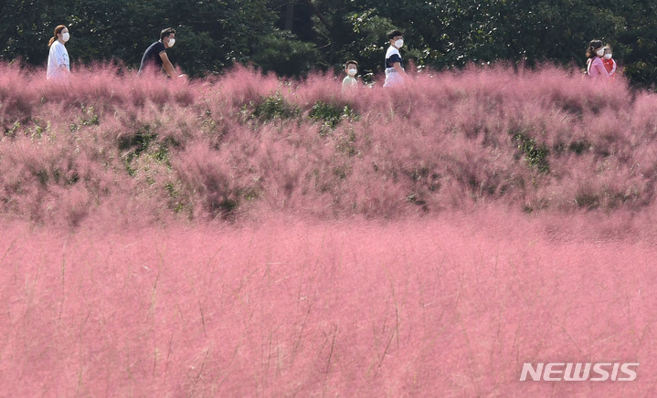 「ミューレンベルギアの中で」