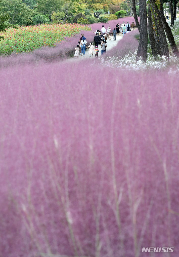 「ミューレンベルギアの中で」