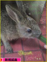 にほんブログ村 ライフスタイルブログ 新規就農へ