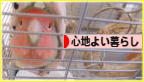 にほんブログ村 ライフスタイルブログ 心地よい暮らしへ