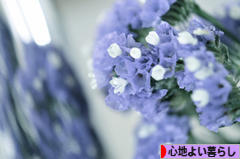 にほんブログ村 ライフスタイルブログ 心地よい暮らしへ