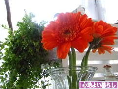 にほんブログ村 ライフスタイルブログ 心地よい暮らしへ