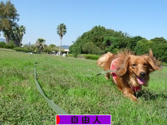 にほんブログ村 ライフスタイルブログ 自由人へ