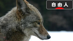 にほんブログ村 ライフスタイルブログ 自由人へ