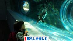 にほんブログ村 ライフスタイルブログ 暮らしを楽しむへ