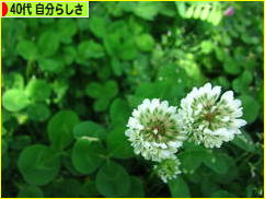 にほんブログ村 ライフスタイルブログ ４０代 自分らしさへ