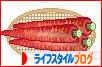 にほんブログ村 ライフスタイルブログへ