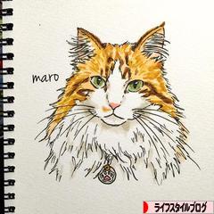 にほんブログ村 ライフスタイルブログへ