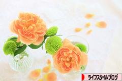 にほんブログ村 ライフスタイルブログへ