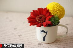 にほんブログ村 ライフスタイルブログへ