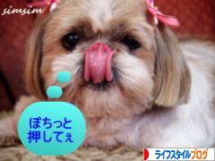 にほんブログ村 ライフスタイルブログへ